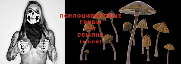 метадон Михайловск