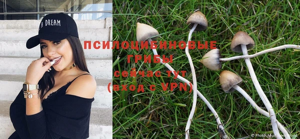 хмурый Михайловка