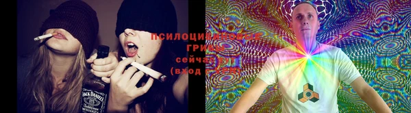 метадон Михайловск