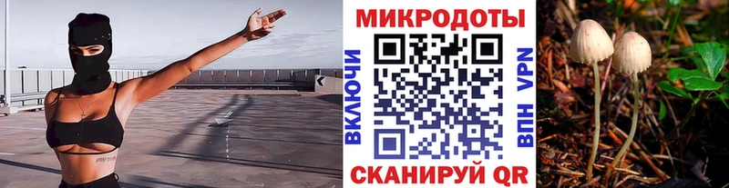 Купить закладки  Карабаш  Галлюциногенные грибы Psilocybe 